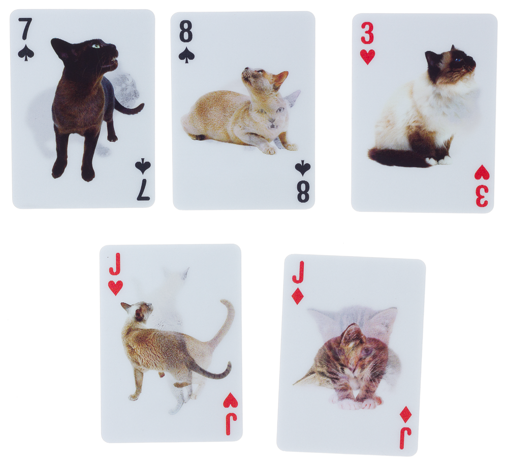 3-D PLAYING CARDS CATS