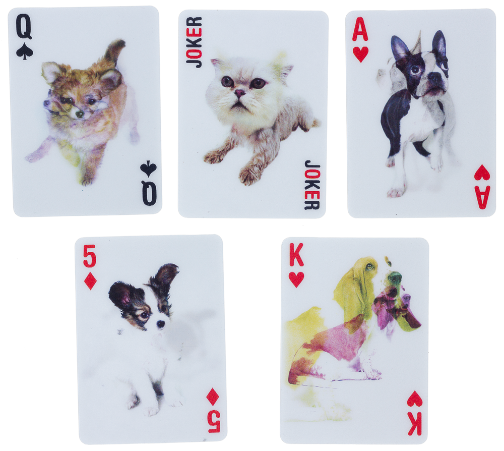 3-D PLAYING CARDS DOGS