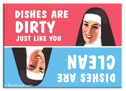 DISHES ARE DIRTY JUST LIKE YOU MAGNET
