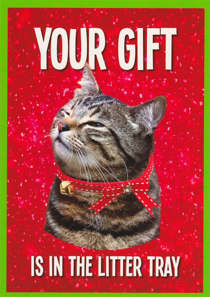 YOUR GIFT IS GREETING CARD