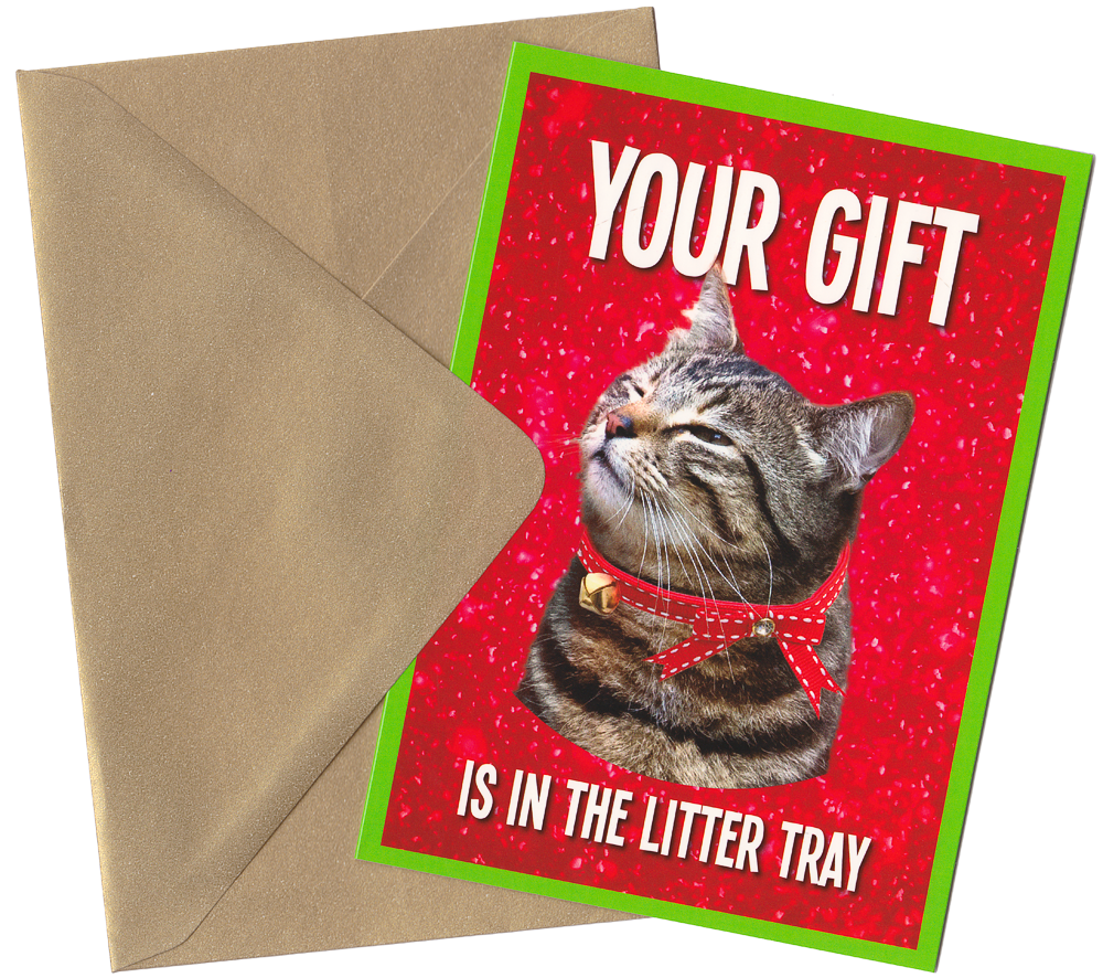 YOUR GIFT IS GREETING CARD