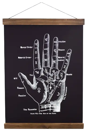CURIOUS PRINTS VINTAGE PALMISTRY CHART CANVAS WALL HANGING PRINT