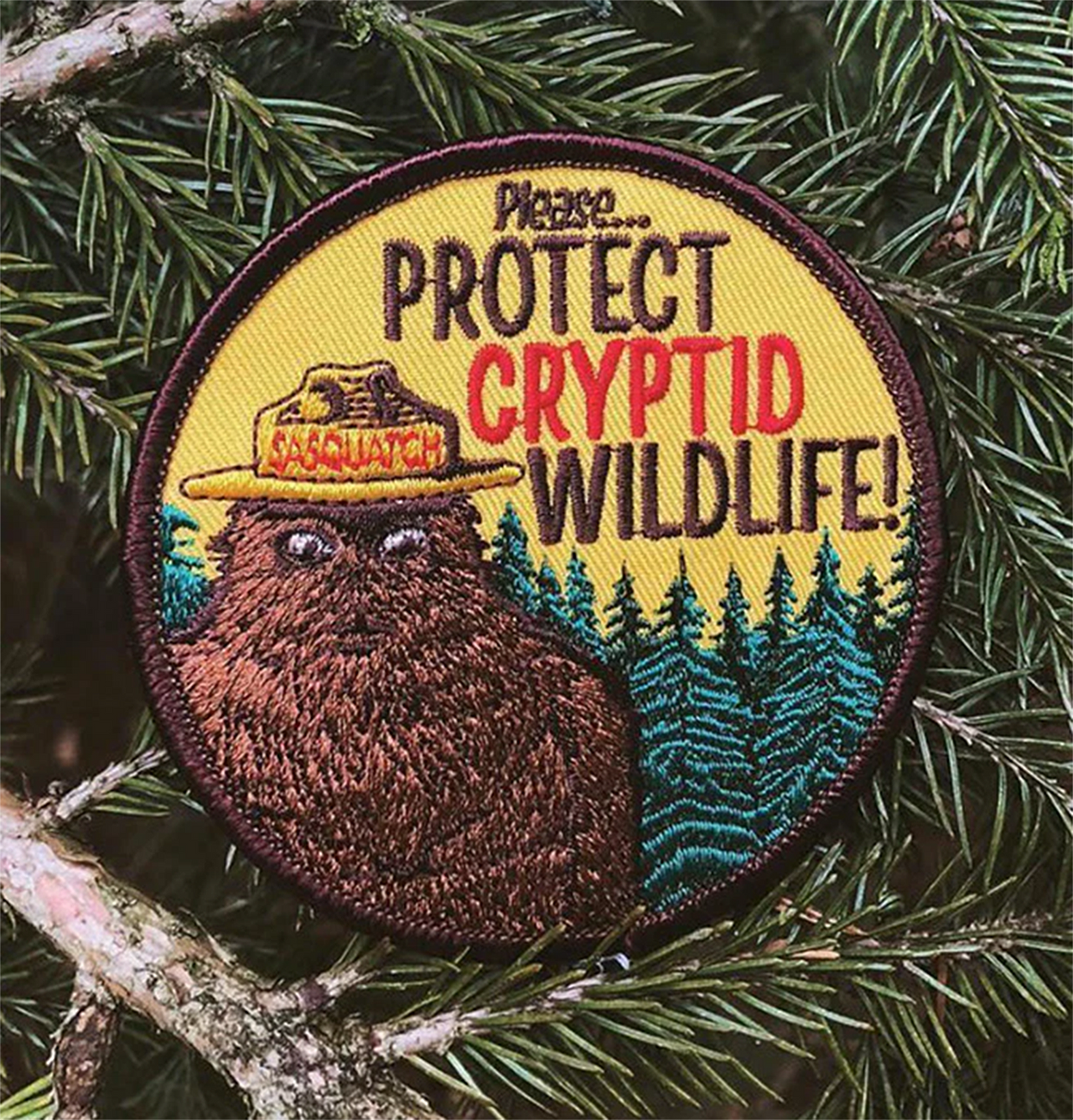 MAIDEN VOYAGE CRYPTID PSA PATCH