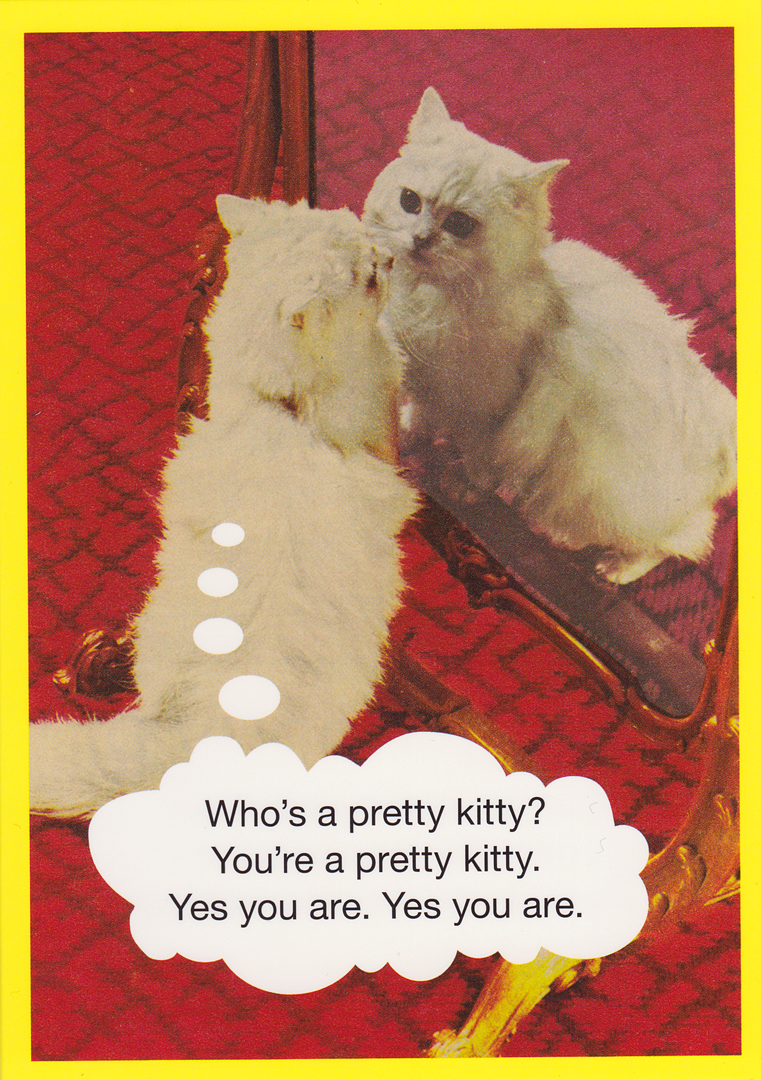 WHO'S A PRETTY KITTY GREETING CARD